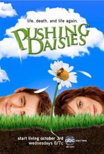 دانلود زیرنویس فارسی سریال Pushing Daisies | دانلود زیرنویس سریال Pushing Daisies | زیرنویس فارسی سریال Pushing Daisies | زیرنویس سریال Pushing Daisies |