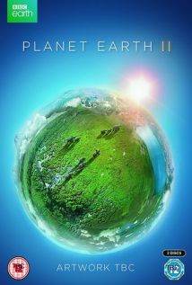 دانلود زیرنویس فارسی سریال Planet Earth II | دانلود زیرنویس سریال Planet Earth II | زیرنویس فارسی سریال Planet Earth II | زیرنویس سریال Planet Earth II |