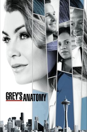 دانلود زیرنویس فارسی سریال Grey's Anatomy | دانلود زیرنویس سریال Grey's Anatomy | زیرنویس فارسی سریال Grey's Anatomy | زیرنویس سریال Grey's Anatomy |